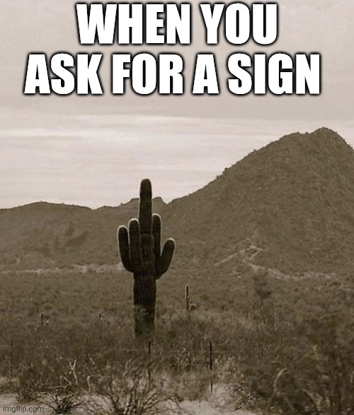 When You Ask For A Sign | WHEN YOU ASK FOR A SIGN | image tagged in chrisjoines1 | made w/ Imgflip meme maker