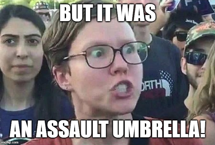 Triggered Liberal | BUT IT WAS; AN ASSAULT UMBRELLA! | image tagged in triggered liberal | made w/ Imgflip meme maker