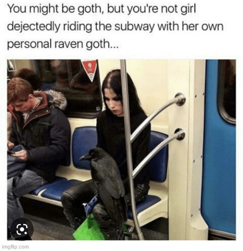 Goth Girls | image tagged in goth,music,lattice climbing,heavy metal,lattice climbingdark humor | made w/ Imgflip meme maker