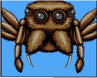 Simant spider Blank Meme Template