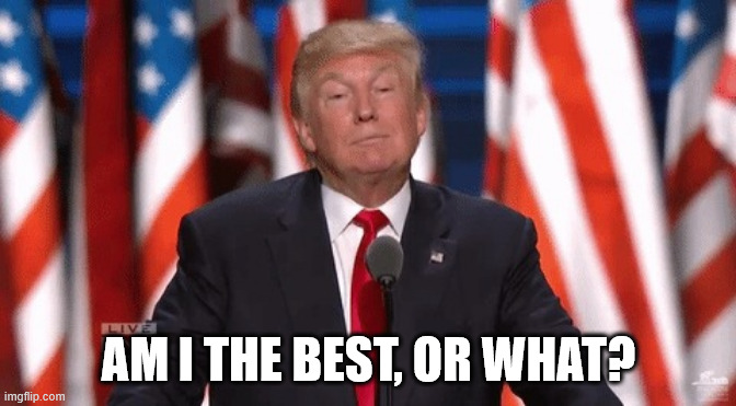Am I the best, or what? | AM I THE BEST, OR WHAT? | image tagged in am i the best or what | made w/ Imgflip meme maker