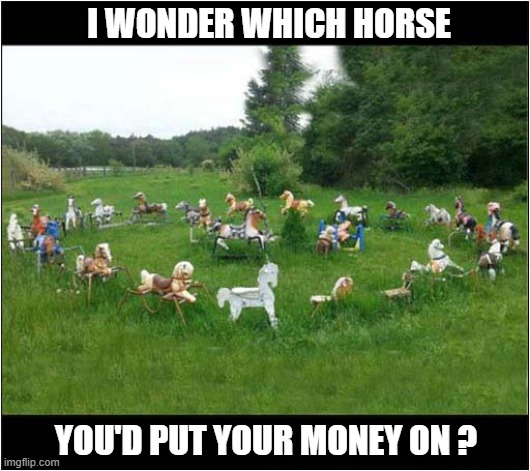 Place Your Bets ! | I WONDER WHICH HORSE; YOU'D PUT YOUR MONEY ON ? | image tagged in weird,betting,rocking horse | made w/ Imgflip meme maker
