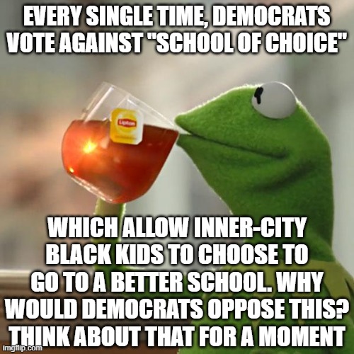 But That's None Of My Business Meme | EVERY SINGLE TIME, DEMOCRATS VOTE AGAINST "SCHOOL OF CHOICE" WHICH ALLOW INNER-CITY BLACK KIDS TO CHOOSE TO GO TO A BETTER SCHOOL. WHY WOULD | image tagged in memes,but that's none of my business,kermit the frog | made w/ Imgflip meme maker