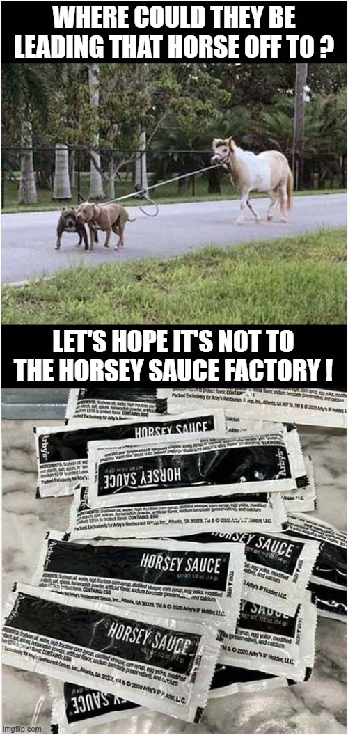 Suspicious Activity Down On The Farm ! | WHERE COULD THEY BE LEADING THAT HORSE OFF TO ? LET'S HOPE IT'S NOT TO THE HORSEY SAUCE FACTORY ! | image tagged in dogs,horse,sauce,dark humour | made w/ Imgflip meme maker