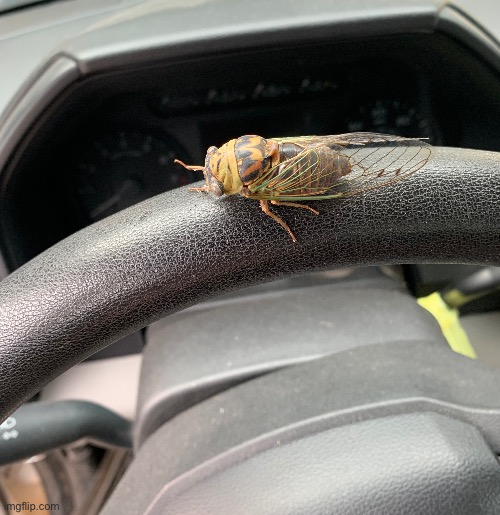 He is not driving | made w/ Imgflip meme maker