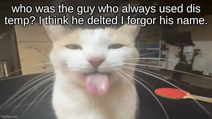 I hated this guy | who was the guy who always used dis temp? I think he delted I forgor his name. | image tagged in milly the silly cat bleh cat | made w/ Imgflip meme maker
