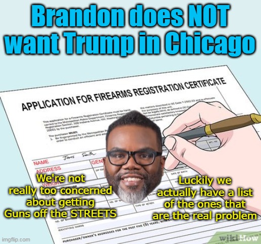 Somebody has to start SOMEWHERE | Brandon does NOT want Trump in Chicago; We're not really too concerned about getting Guns off the STREETS; Luckily we actually have a list of the ones that are the real problem | image tagged in johnson pritzker foid cards illinois meme,chicago guns meme | made w/ Imgflip meme maker