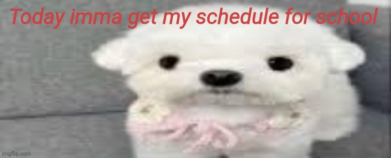 Dog stating | Today imma get my schedule for school | image tagged in dog stating | made w/ Imgflip meme maker