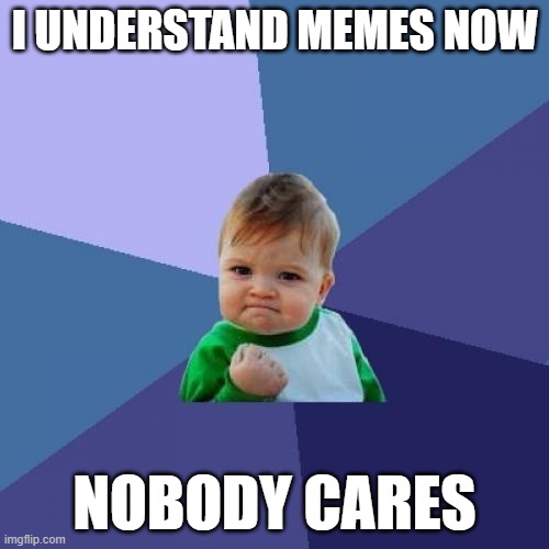 Success Kid Meme | I UNDERSTAND MEMES NOW; NOBODY CARES | image tagged in memes,success kid | made w/ Imgflip meme maker