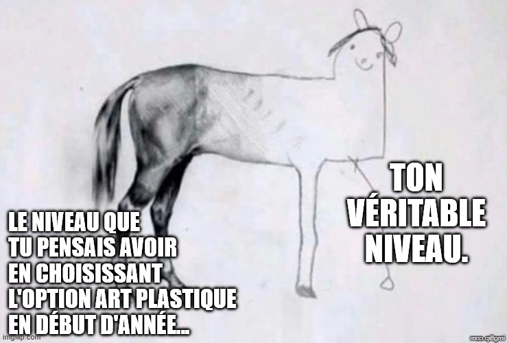 Horse Drawing | TON VÉRITABLE NIVEAU. LE NIVEAU QUE TU PENSAIS AVOIR EN CHOISISSANT L'OPTION ART PLASTIQUE EN DÉBUT D'ANNÉE... | image tagged in horse drawing | made w/ Imgflip meme maker