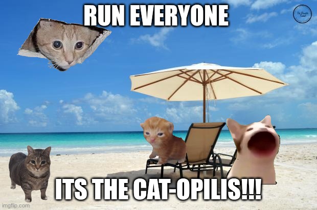 AAAaa | RUN EVERYONE; ITS THE CAT-OPILIS!!! | image tagged in beach | made w/ Imgflip meme maker
