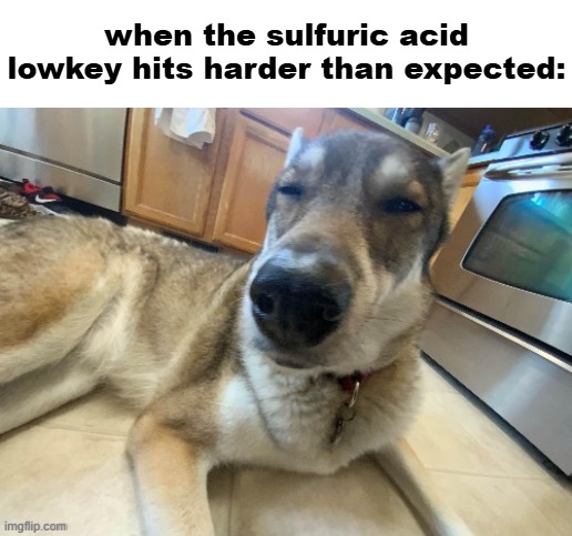 when the sulfuric acid lowkey hits harder than expected: | made w/ Imgflip meme maker