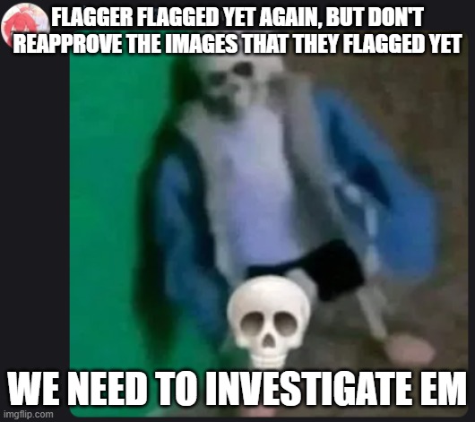 some ppl who can mess with codes here, pls | FLAGGER FLAGGED YET AGAIN, BUT DON'T REAPPROVE THE IMAGES THAT THEY FLAGGED YET; WE NEED TO INVESTIGATE EM | image tagged in sans skull | made w/ Imgflip meme maker