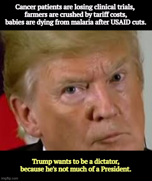 Dilated again. | Cancer patients are losing clinical trials, 
farmers are crushed by tariff costs, babies are dying from malaria after USAID cuts. Trump wants to be a dictator, because he's not much of a President. | image tagged in trump eyes dilated,trump,moron,incompetence,disaster,death | made w/ Imgflip meme maker