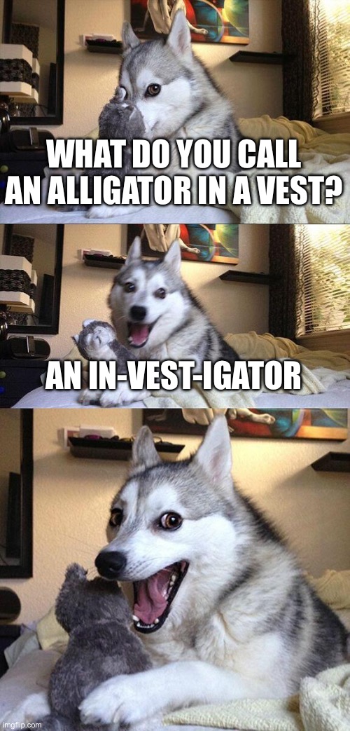 Bad Pun Dog Meme | WHAT DO YOU CALL AN ALLIGATOR IN A VEST? AN IN-VEST-IGATOR | image tagged in memes,bad pun dog | made w/ Imgflip meme maker
