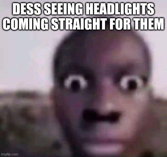 they're screwed | DESS SEEING HEADLIGHTS COMING STRAIGHT FOR THEM | image tagged in staring black guy | made w/ Imgflip meme maker