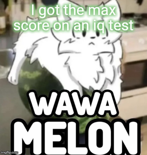 Theyre making me pay for results | I got the max score on an iq test | image tagged in the wawa melon | made w/ Imgflip meme maker