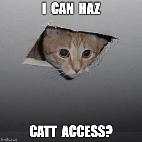 Cat Access | I  CAN  HAZ; CATT  ACCESS? | image tagged in memes,ceiling cat | made w/ Imgflip meme maker