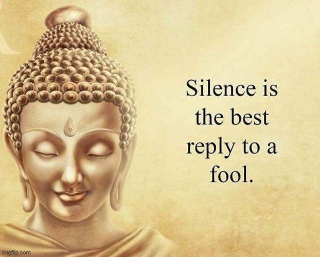 Silence is the best reply to a fool | image tagged in silence is the best reply to a fool | made w/ Imgflip meme maker