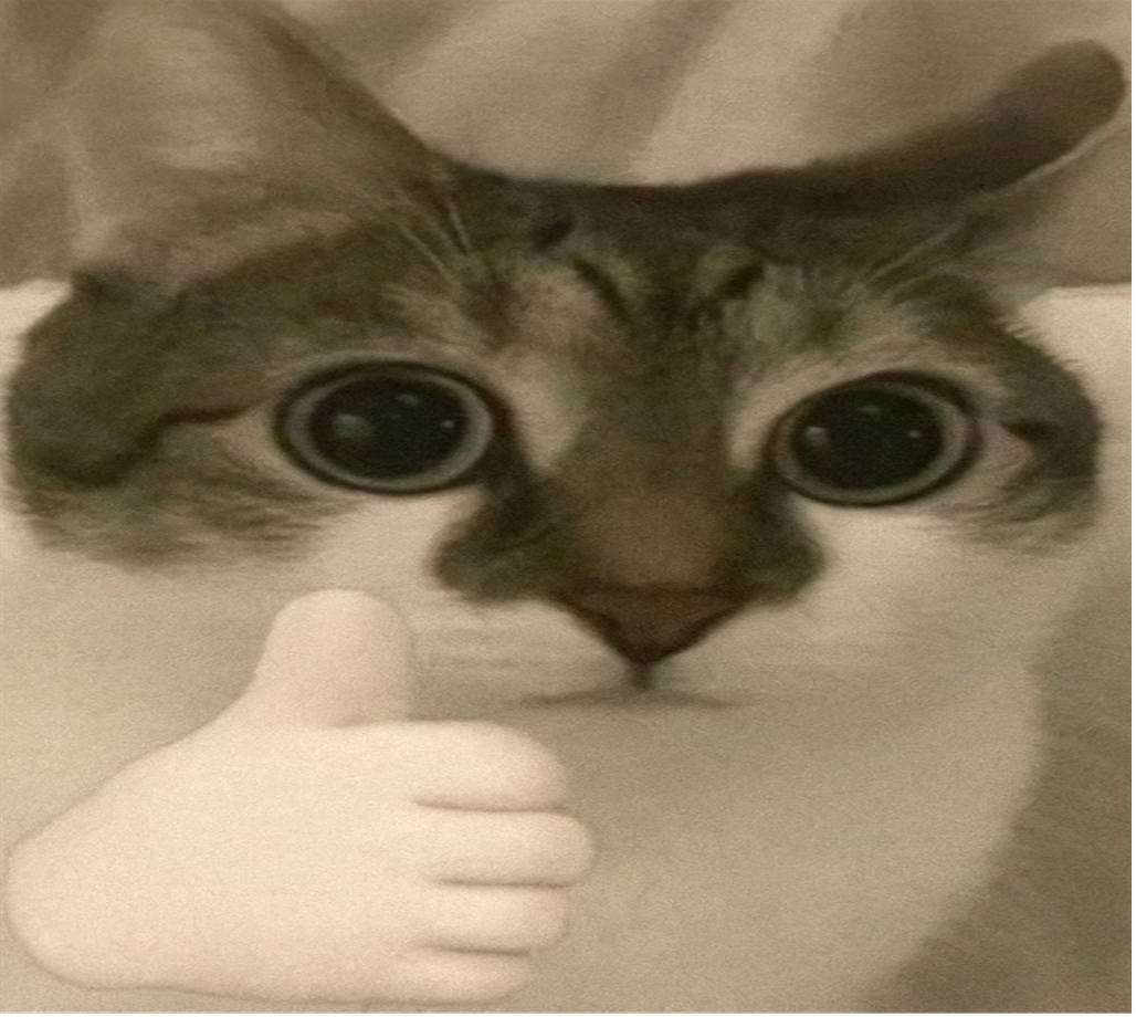 High Quality bombastic side eye cat v2 Blank Meme Template