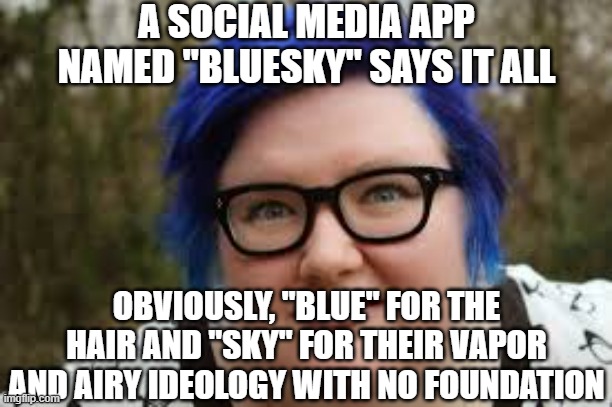 400 lb blue haired ham planet | A SOCIAL MEDIA APP NAMED "BLUESKY" SAYS IT ALL OBVIOUSLY, "BLUE" FOR THE HAIR AND "SKY" FOR THEIR VAPOR AND AIRY IDEOLOGY WITH NO FOUNDATION | image tagged in 400 lb blue haired ham planet | made w/ Imgflip meme maker