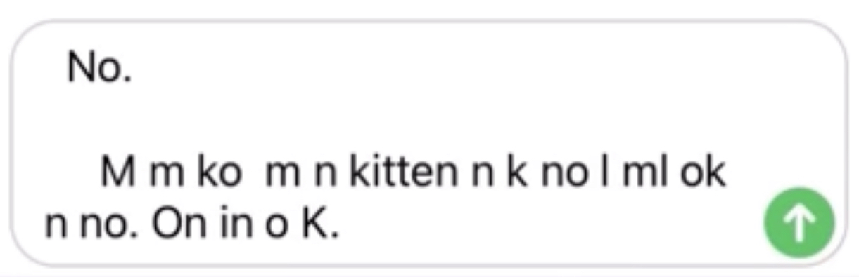 No Blank Meme Template