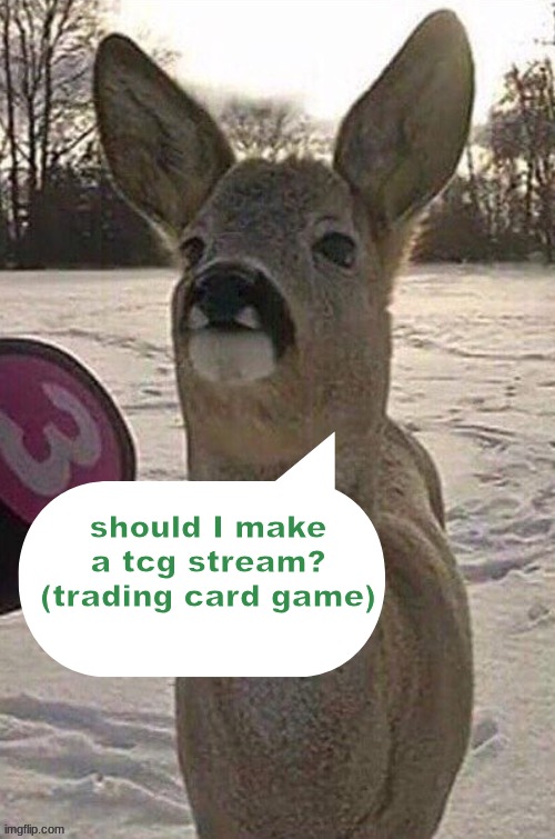 like pokemon cards, Yu-Gi-Oh, magic the gathering, digimon, ect | should I make a tcg stream? (trading card game) | image tagged in deer yap session | made w/ Imgflip meme maker