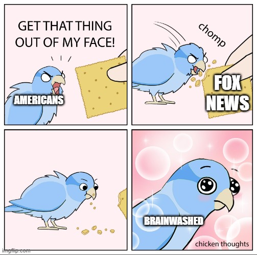 I hope im using this template right | FOX NEWS; AMERICANS; BRAINWASHED | image tagged in bird cracker | made w/ Imgflip meme maker