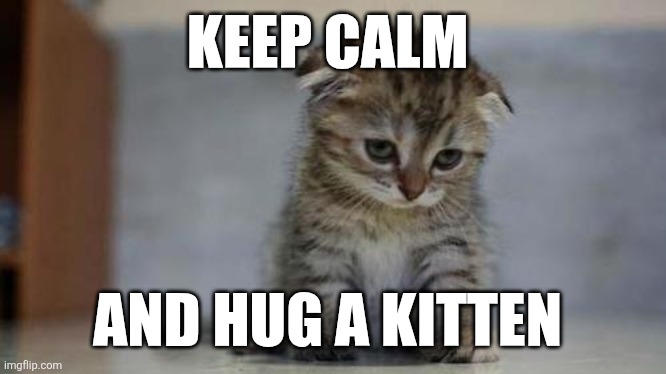 Hug A Kitten | KEEP CALM; AND HUG A KITTEN | image tagged in sad kitten | made w/ Imgflip meme maker