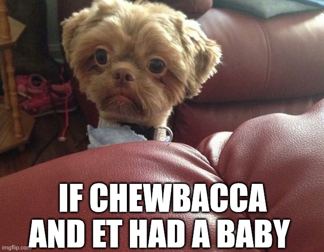 If Chewbacca And ET Had A Baby | IF CHEWBACCA AND ET HAD A BABY | image tagged in chrisjoines1 | made w/ Imgflip meme maker