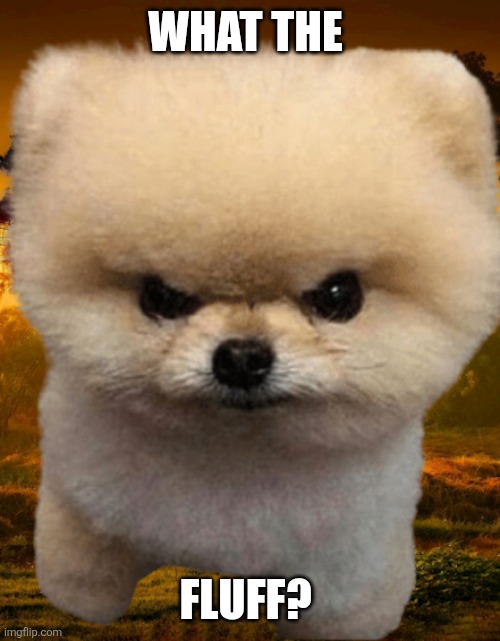 Fluffy | WHAT THE; FLUFF? | image tagged in fluffy destroyer of worlds,funny memes | made w/ Imgflip meme maker