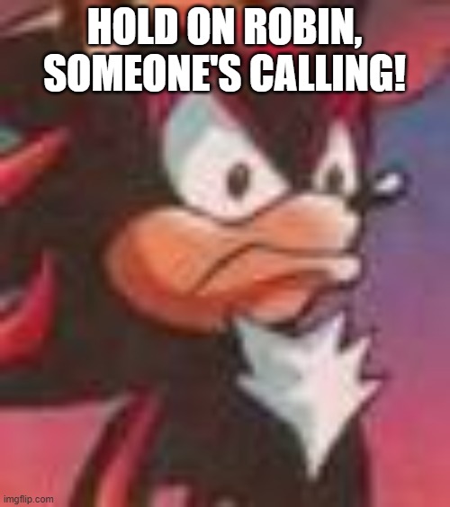 Shadow the Hedgehog | HOLD ON ROBIN, SOMEONE'S CALLING! | image tagged in shadow the hedgehog | made w/ Imgflip meme maker