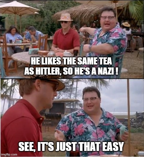 See Nobody Cares Meme | HE LIKES THE SAME TEA AS HITLER, SO HE'S A NAZI ! SEE, IT'S JUST THAT EASY | image tagged in memes,see nobody cares | made w/ Imgflip meme maker