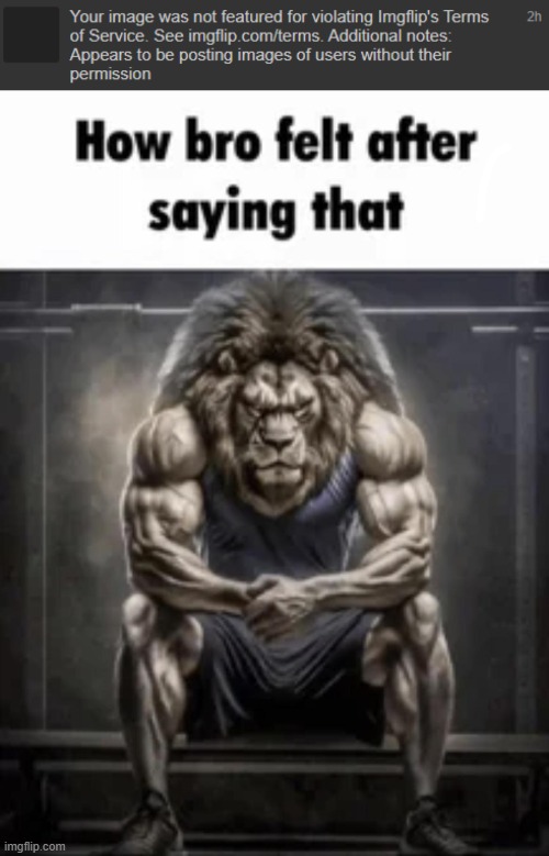 the image is supposed to be me in 2 sides but imgflip thought they are sigmas | image tagged in how bro felt after saying that | made w/ Imgflip meme maker