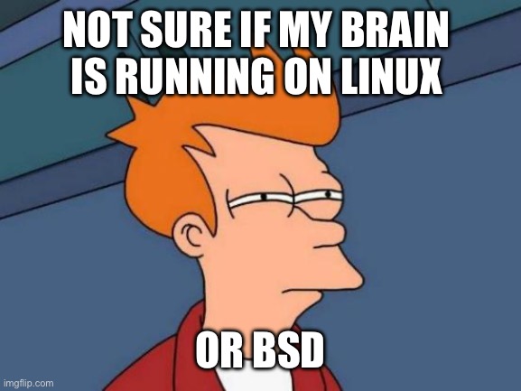 Linux or BSD | NOT SURE IF MY BRAIN 
IS RUNNING ON LINUX; OR BSD | image tagged in memes,futurama fry,linux,bsd,not sure if | made w/ Imgflip meme maker