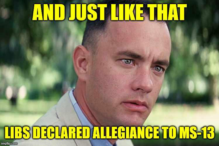 And Just Like That Meme | AND JUST LIKE THAT LIBS DECLARED ALLEGIANCE TO MS-13 | image tagged in memes,and just like that | made w/ Imgflip meme maker