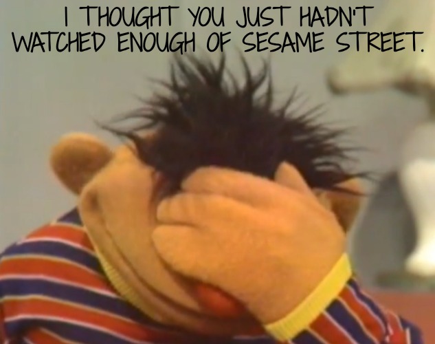 Ernie doh | I THOUGHT YOU JUST HADN'T WATCHED ENOUGH OF SESAME STREET. | image tagged in ernie doh | made w/ Imgflip meme maker