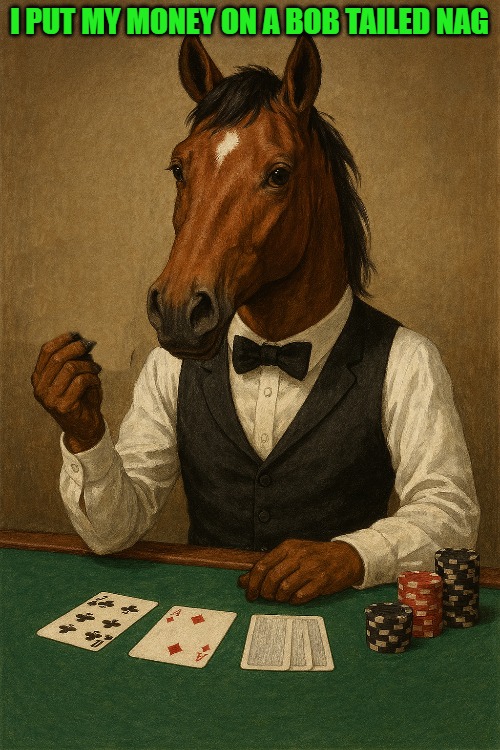 I PUT MY MONEY ON A BOB TAILED NAG | made w/ Imgflip meme maker