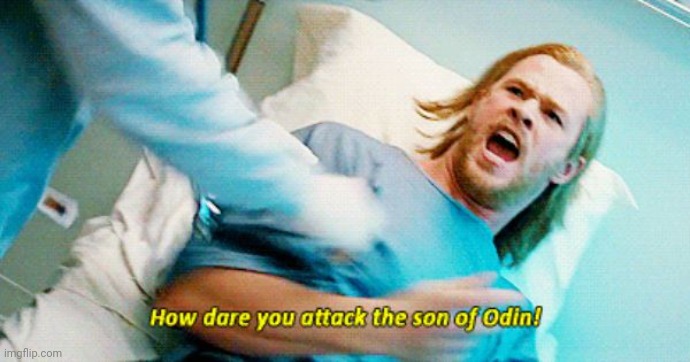 HOW DARE YOU ATTACK THE SON OF ODIN | image tagged in how dare you attack the son of odin | made w/ Imgflip meme maker