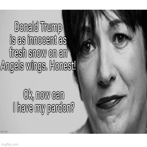 Show me the pardon | image tagged in trump is as innocent as never,bull,i want my pardon,come on,i said what you wanted | made w/ Imgflip meme maker