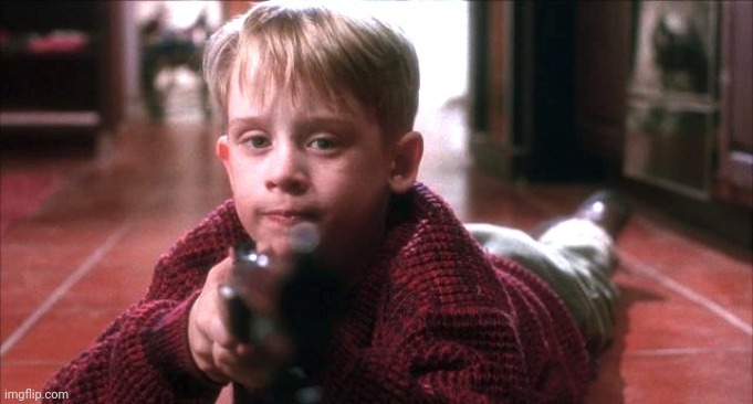 Home alone hello | image tagged in home alone hello | made w/ Imgflip meme maker
