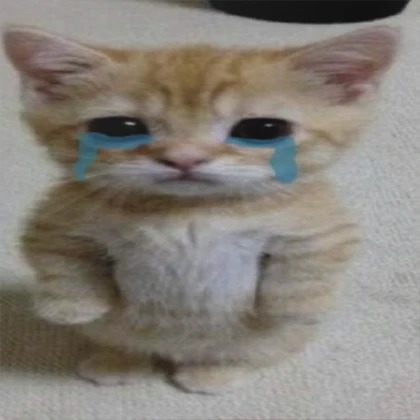 sad cooking cat Blank Meme Template