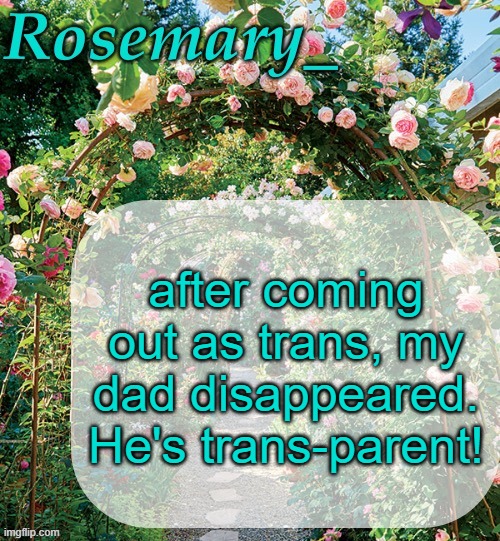 Rosemary_ template | after coming out as trans, my dad disappeared. He's trans-parent! | image tagged in rosemary_ template | made w/ Imgflip meme maker