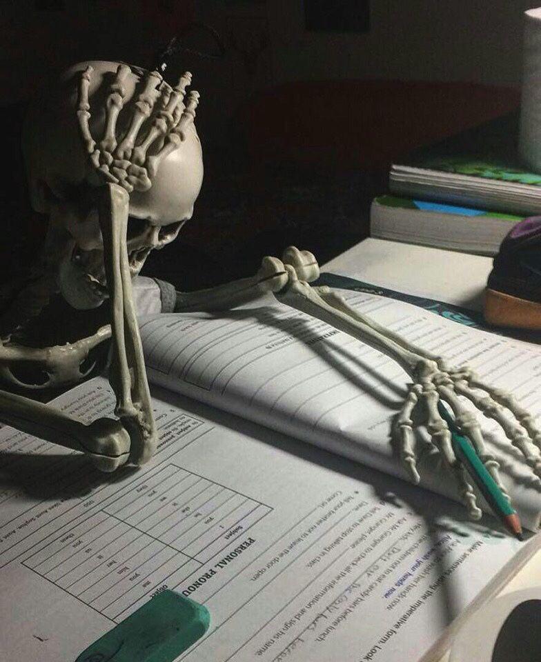 High Quality Cooked skeleton Blank Meme Template