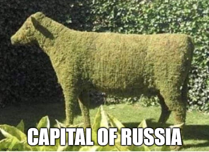 Capital of Russi | CAPITAL OF RUSSIA | image tagged in funny,memes | made w/ Imgflip meme maker