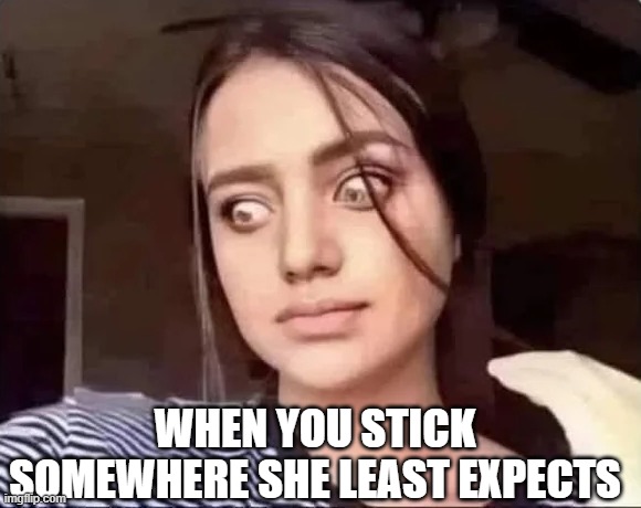 Least Expected | WHEN YOU STICK SOMEWHERE SHE LEAST EXPECTS | image tagged in sex jokes | made w/ Imgflip meme maker