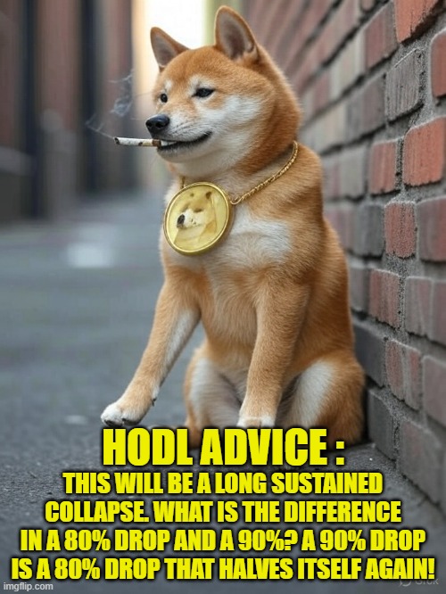 I don't know when! But its gonna happen | HODL ADVICE :; THIS WILL BE A LONG SUSTAINED COLLAPSE. WHAT IS THE DIFFERENCE IN A 80% DROP AND A 90%? A 90% DROP IS A 80% DROP THAT HALVES ITSELF AGAIN! | image tagged in stock market,gold,collapse,depression,stock crash,crypto | made w/ Imgflip meme maker
