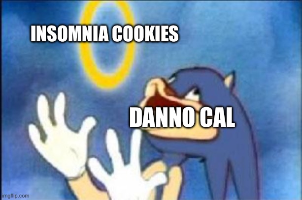 He found his new Wendy’s | INSOMNIA COOKIES; DANNO CAL | image tagged in sonic derp,danno cal,cookies,ice cream,riggy,memes | made w/ Imgflip meme maker