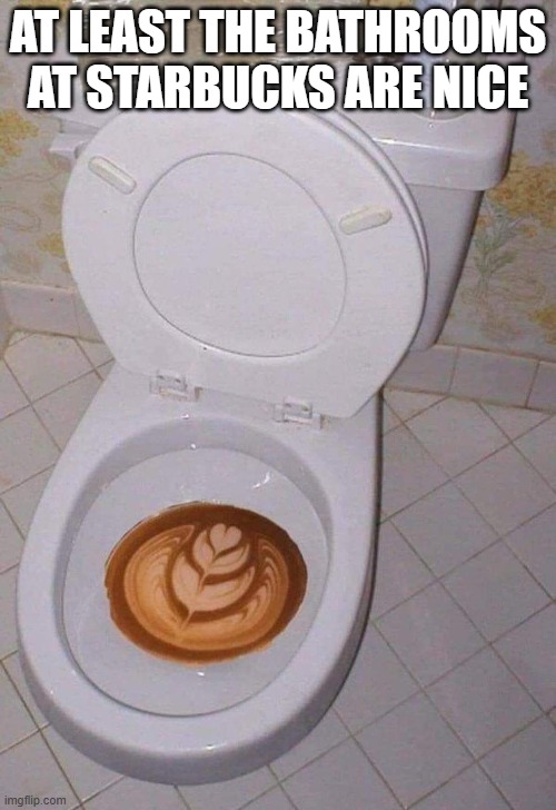 Starbucks Potty | AT LEAST THE BATHROOMS AT STARBUCKS ARE NICE | image tagged in unsee juice | made w/ Imgflip meme maker