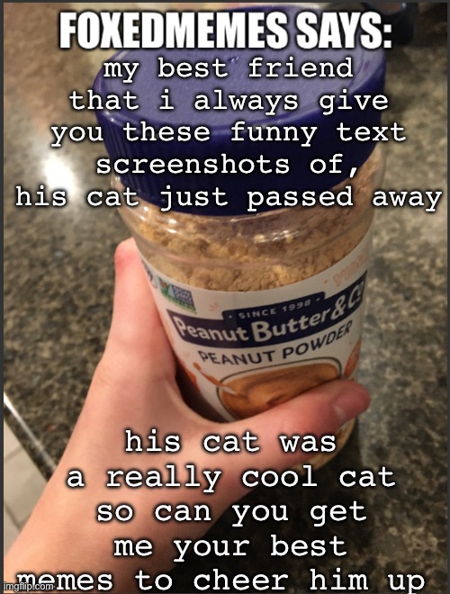 foxedmemes template | my best friend that i always give you these funny text screenshots of, his cat just passed away; his cat was a really cool cat so can you get me your best memes to cheer him up | image tagged in foxedmemes template | made w/ Imgflip meme maker